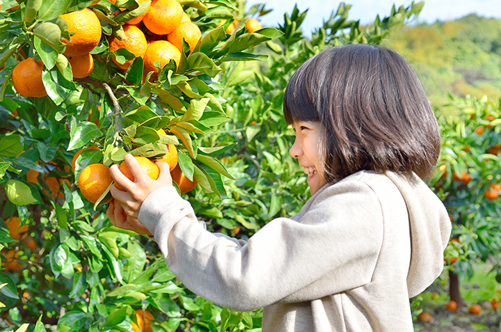 蜜柑を手に笑顔の女の子